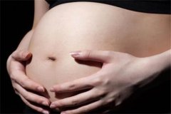 终止妊娠是什么