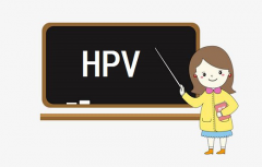 常见的HPV问题Q&A