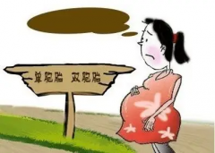 双胞胎概率有多大?怎么区分？